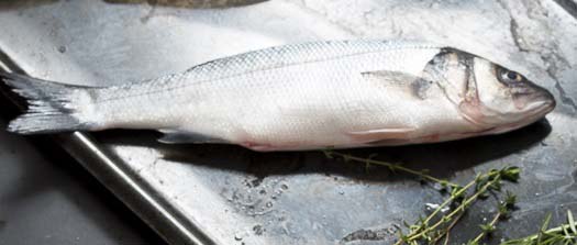 Prepare Sea Bass