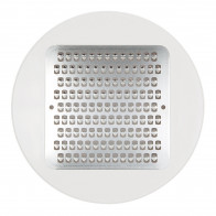 KAI Select 100 Ginger Grater with Container