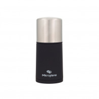 Microplane Specialty Nutmeg Grinder / Spice Grinder - Stainless Steel