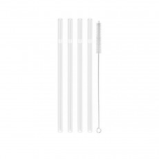 Zwilling Sorrento Straw Glass Straws straight 5-piece