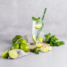 Zwilling Sorrento Straw glass straws straight, set of 5