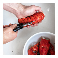 de Buyer Seafood shellfish scissors with removable stainless steel blades