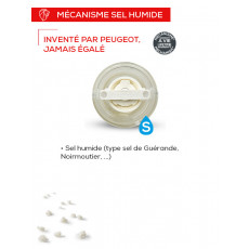 Peugeot Nancy Sea Salt Mill 18 cm Acrylic - Ceramic Grinder