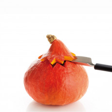 triangle Spirit fruit decorator - stainless steel - plastic handle